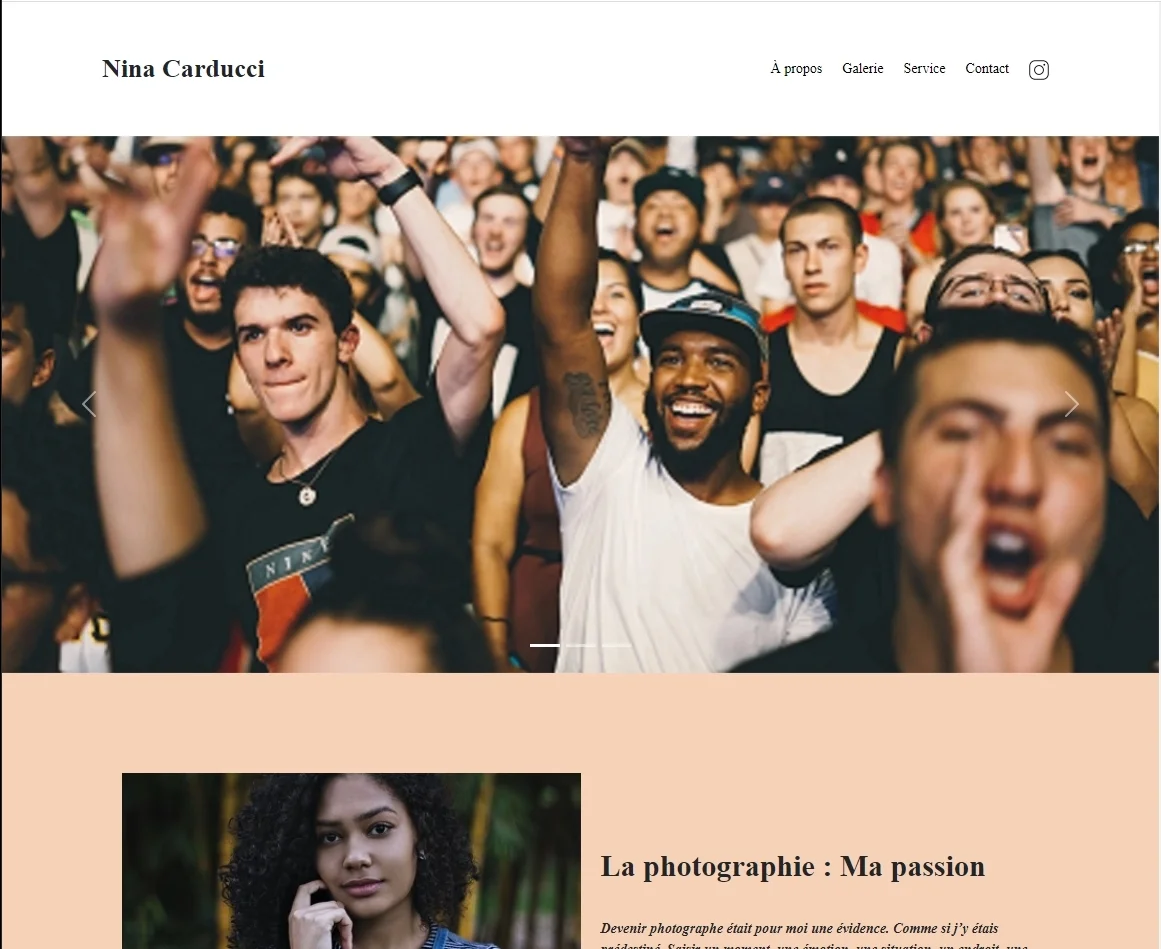 Image du site du Projet05 Nina Carducci developpeur web OpenClassRoom